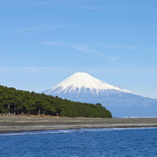 富士山―信仰の対象と芸術の源泉